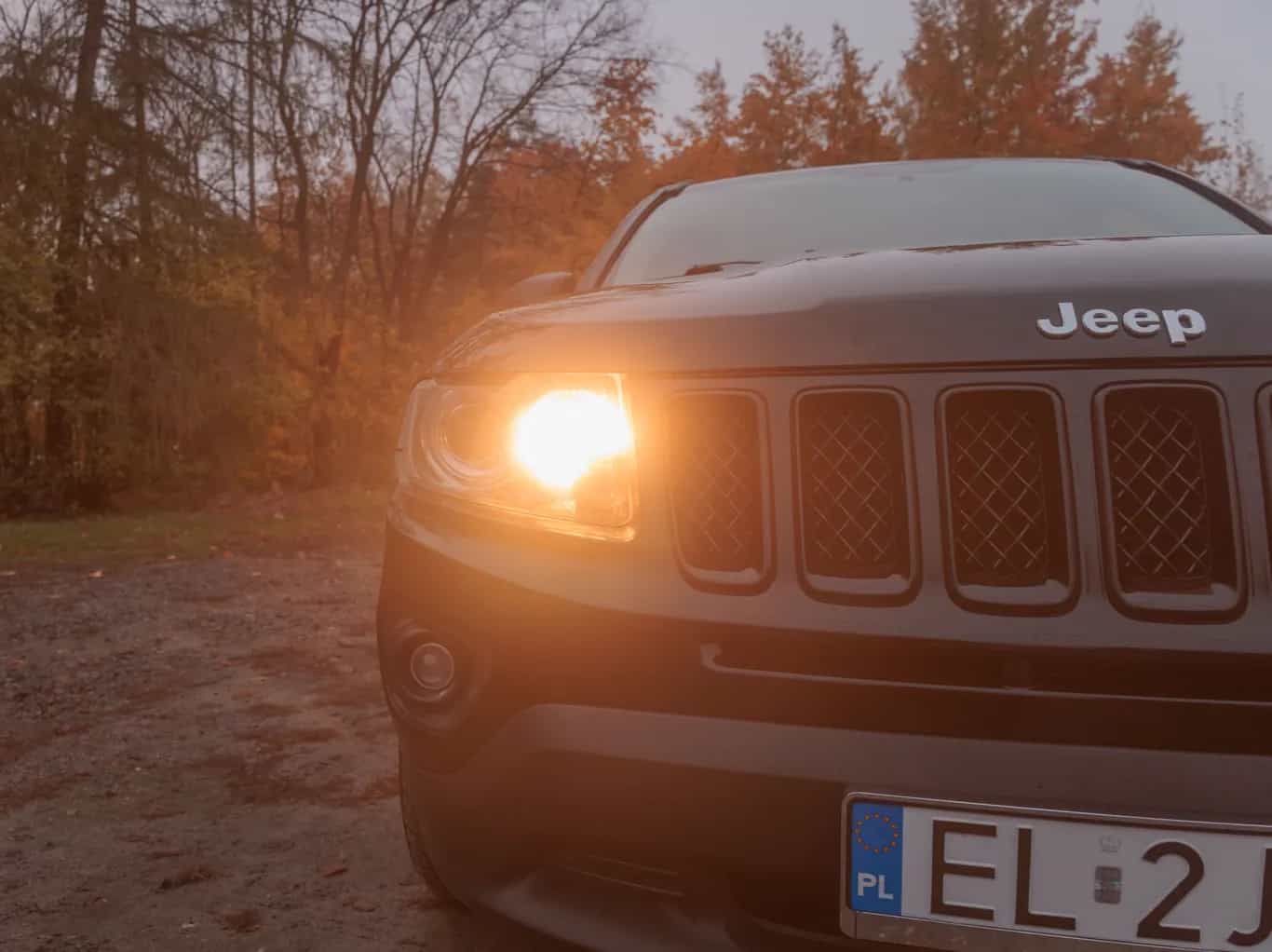 Zdjęcie samochodu Jeep Compass 2.2 CRD 4x4 Limited numer 33