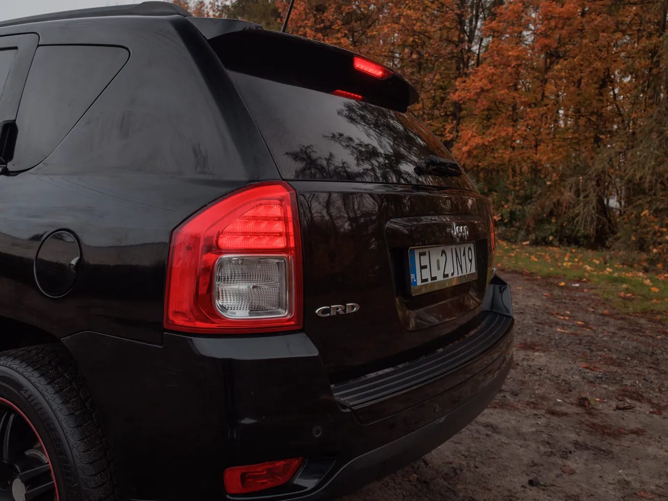 Zdjęcie samochodu Jeep Compass 2.2 CRD 4x4 Limited numer 31